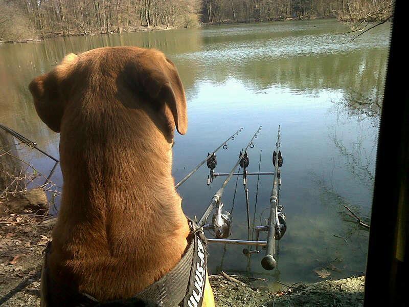 tot felu - 48142412225615540642573902426n.jpg